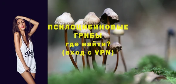 дмт Инта