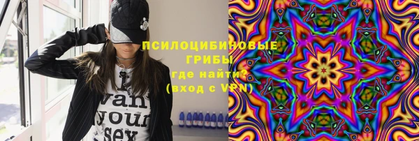 PSILOCYBIN Балахна